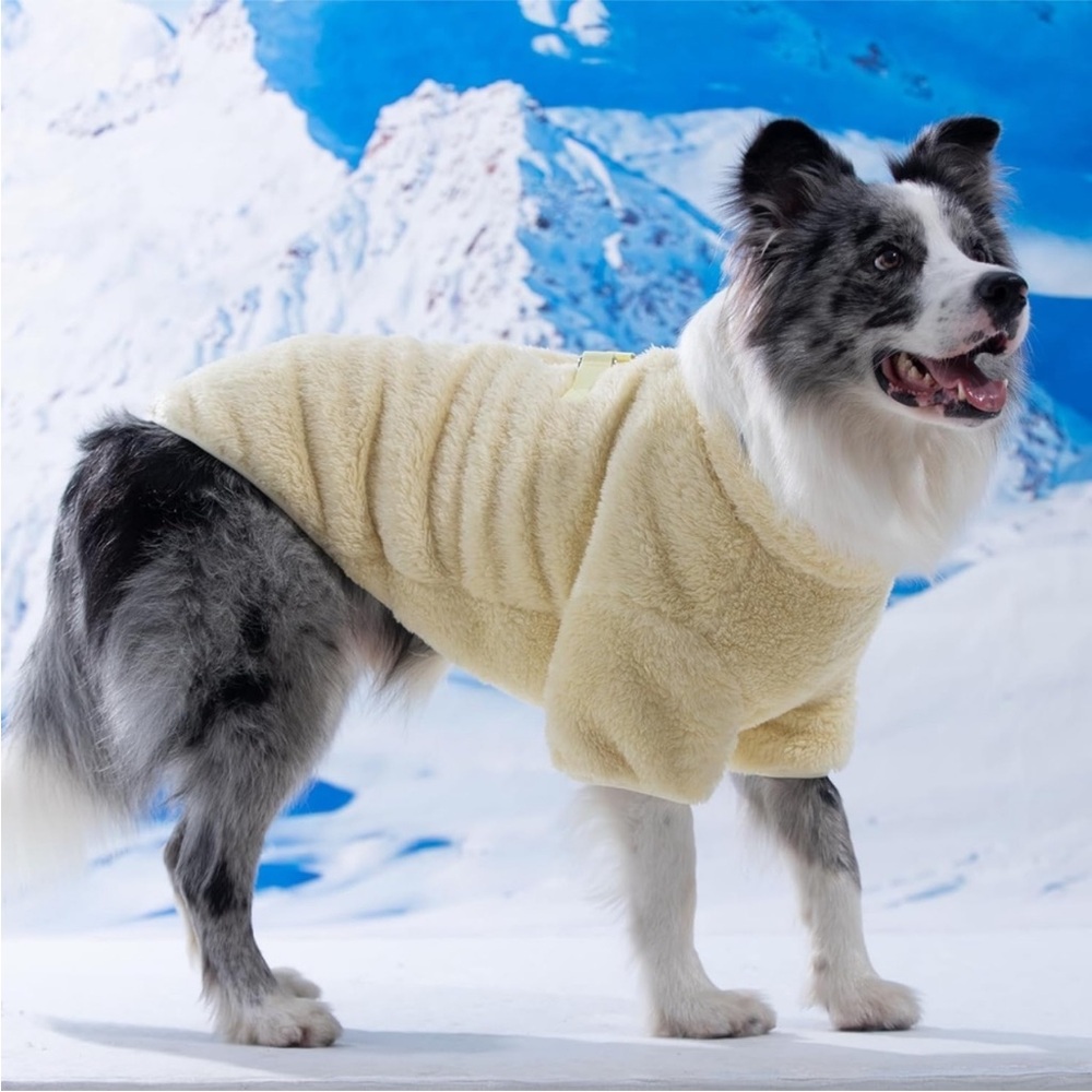 New winter dog coat